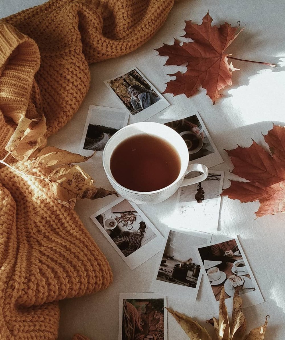 Книга на столе вид сверху