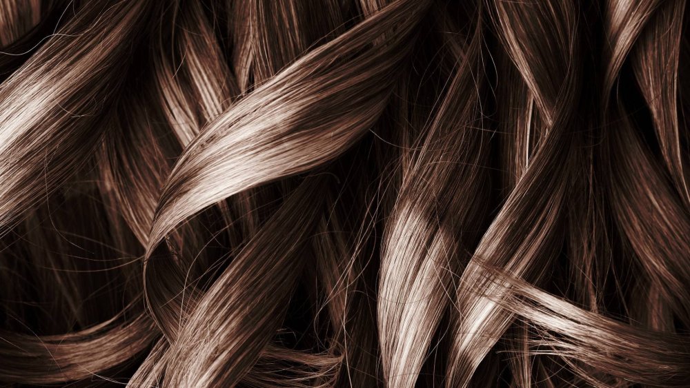 Силуэт женской головы