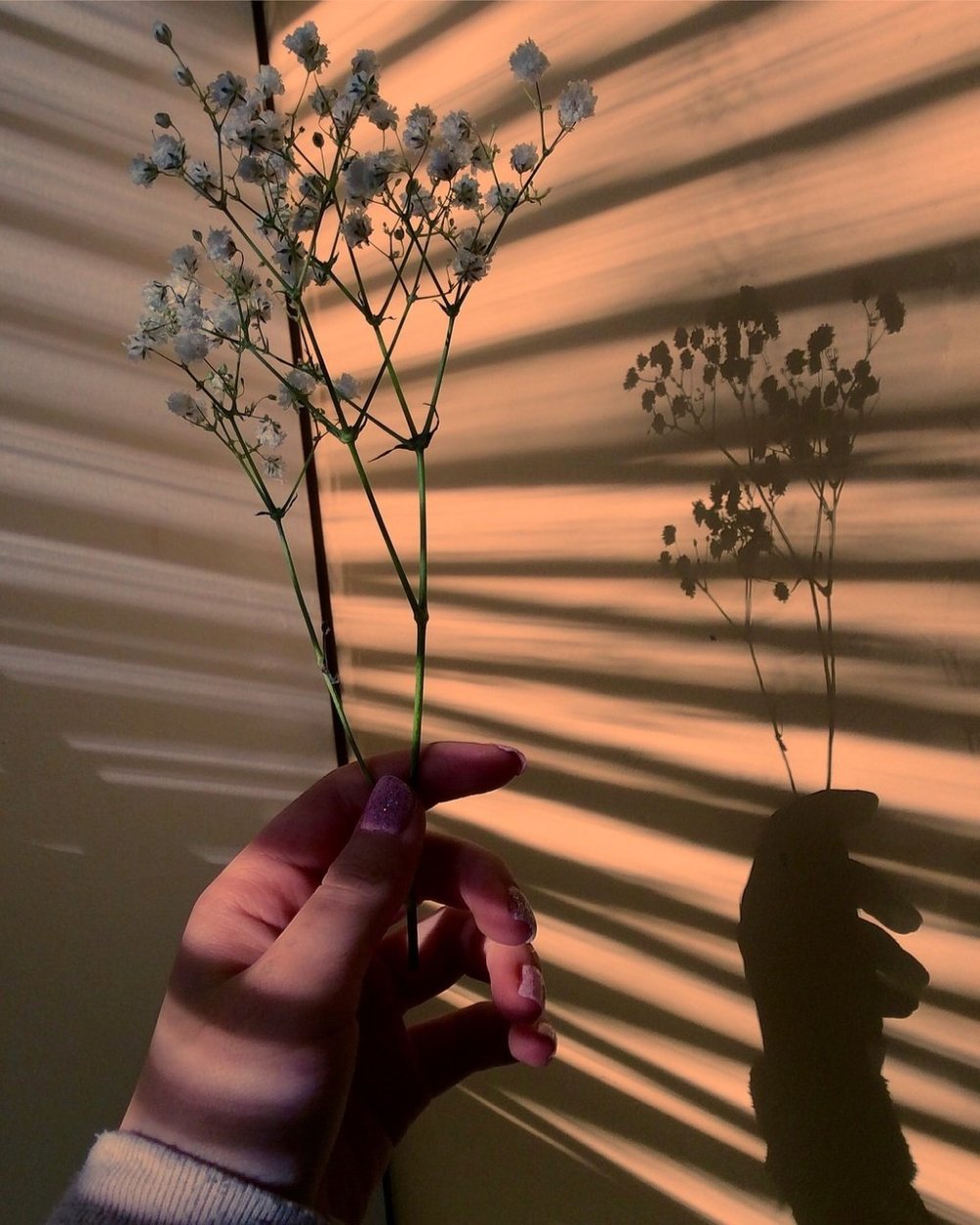 Стритбол в США 1950 годы