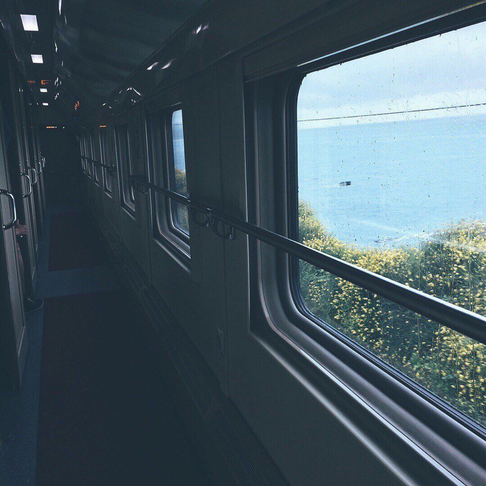 Вид из окна поезда