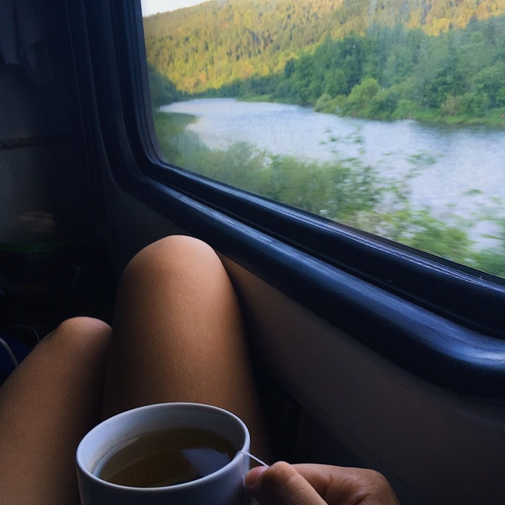 Девушка в поезде у окна