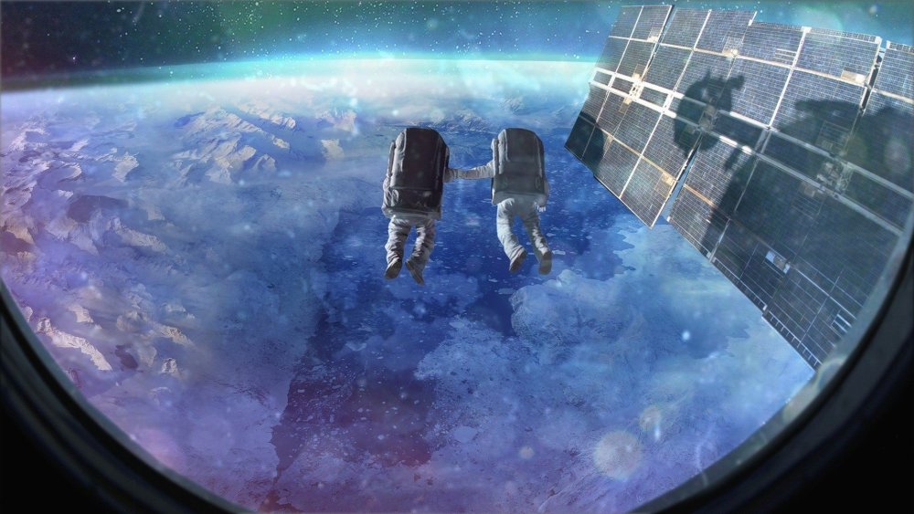 Кот в иллюминаторе космос