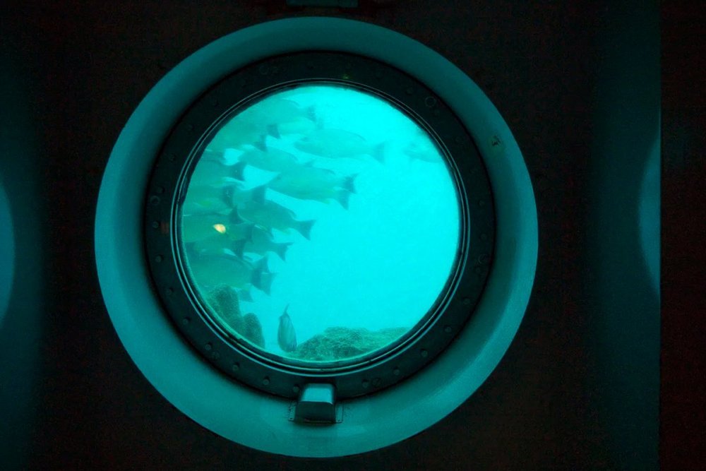 Окно в космосе большое