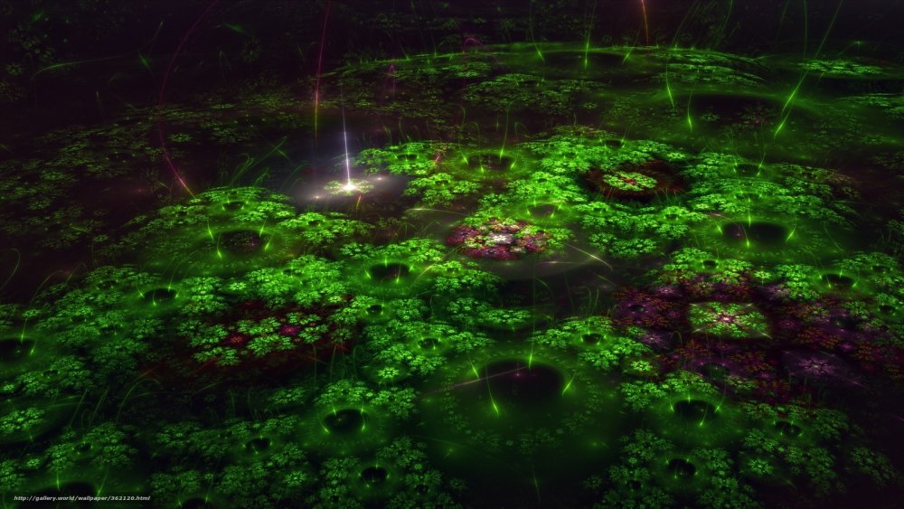 Светящиеся болота