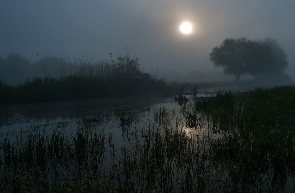 Болото ночью