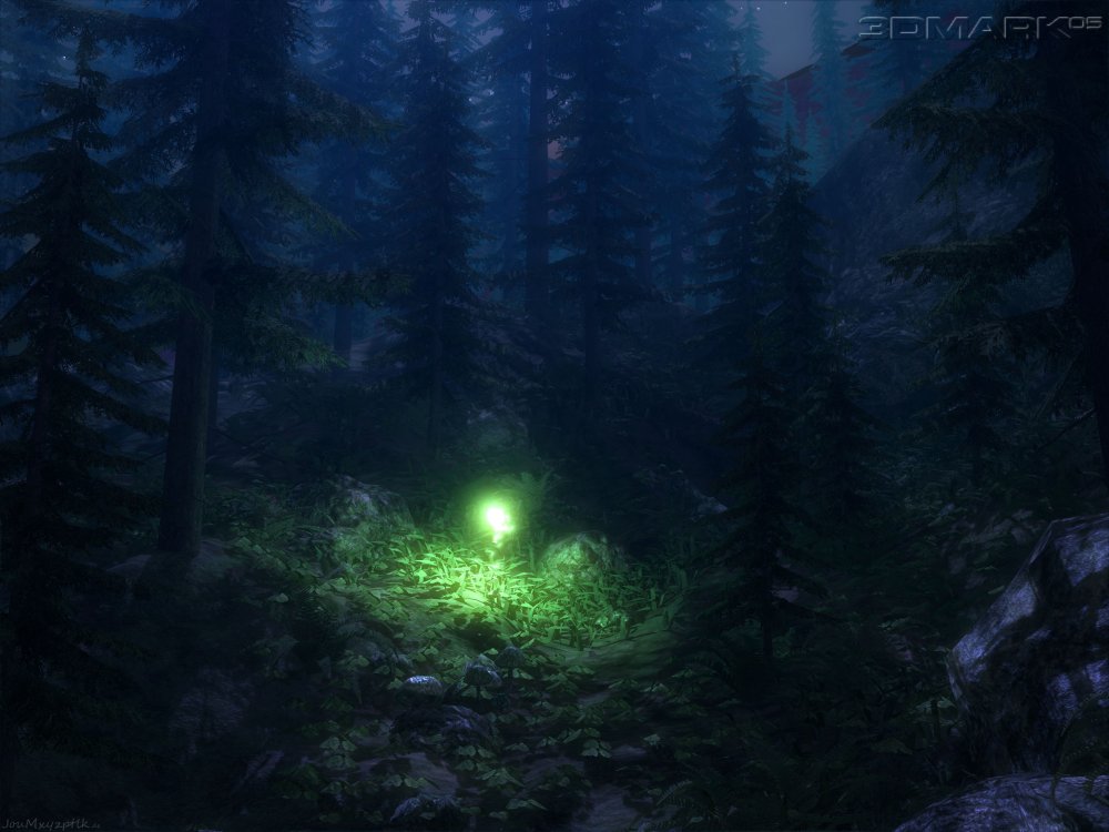 «Ночь в лесу»