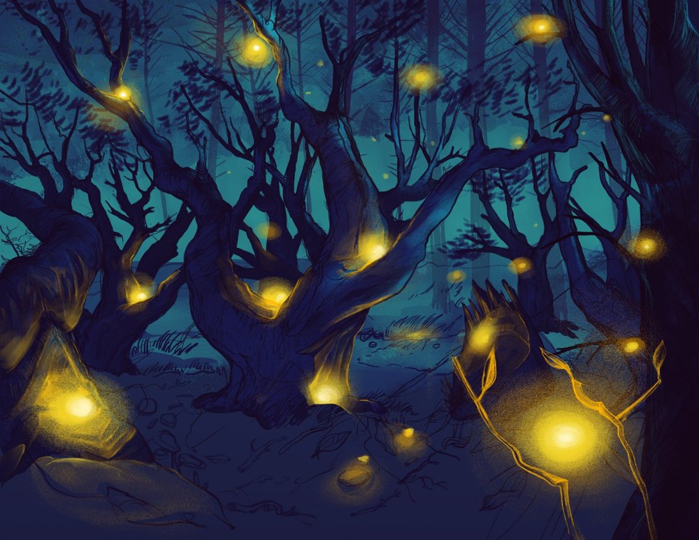 Огоньки в лесу