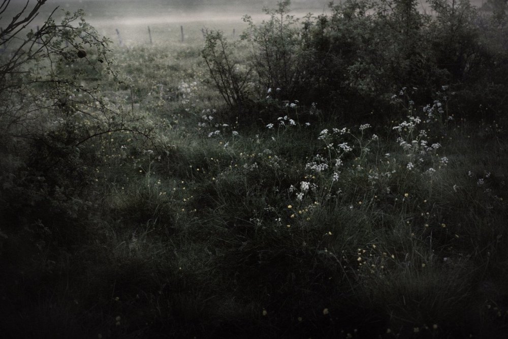 Болотная Топь Эстетика