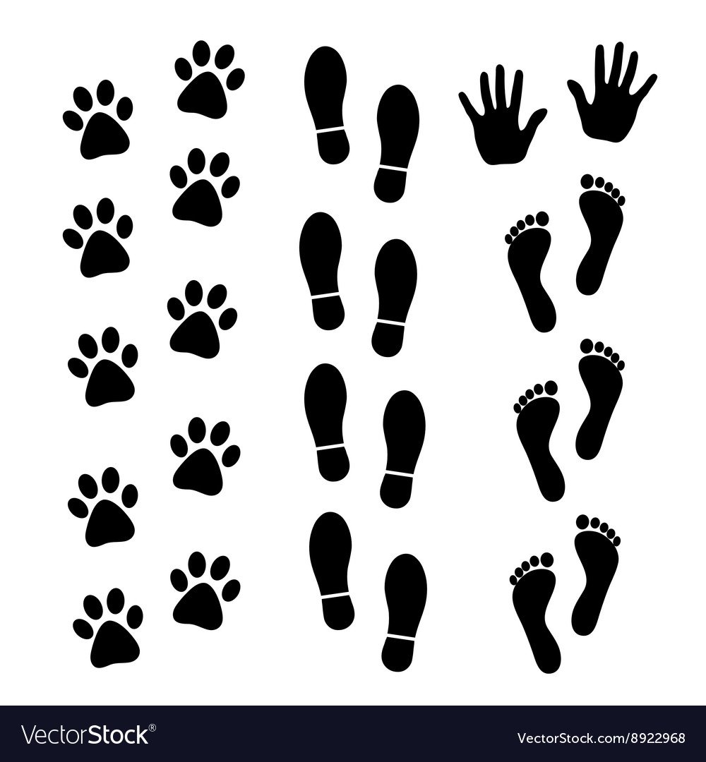 Следы животных и людей