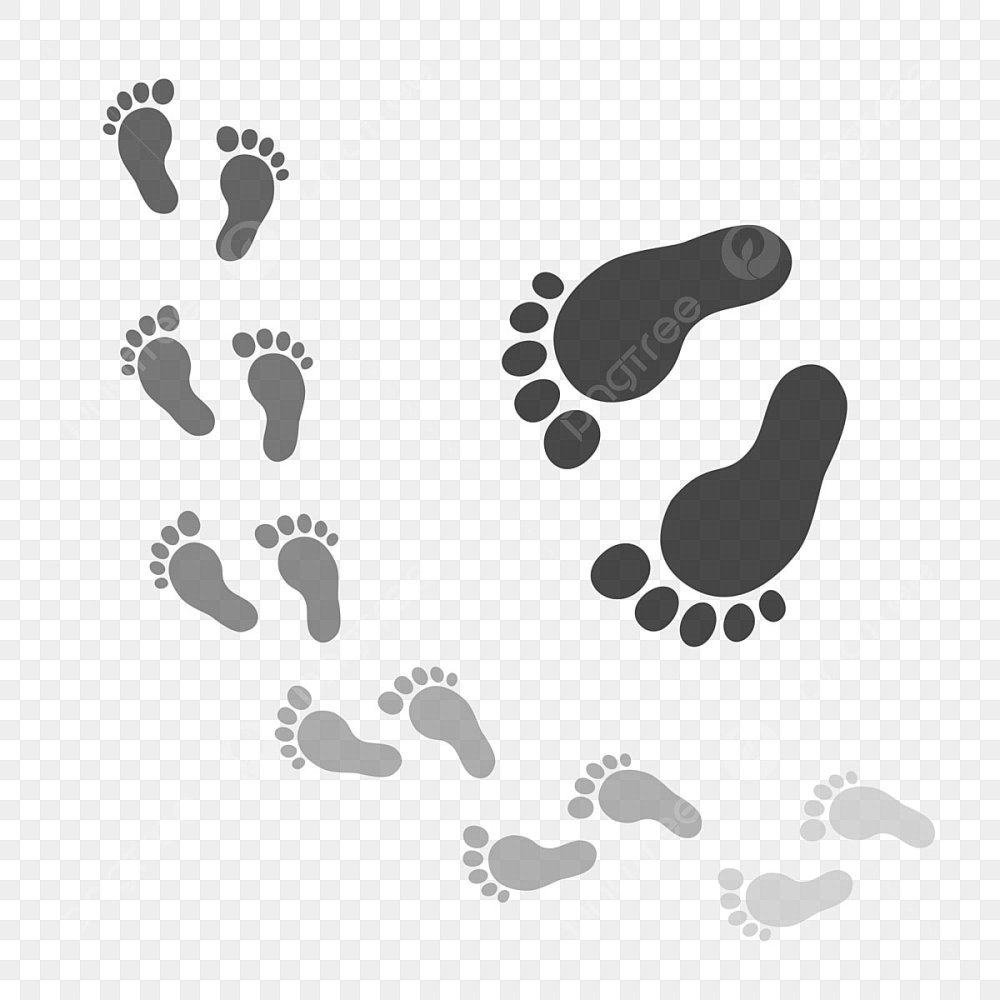 Человеческие следы