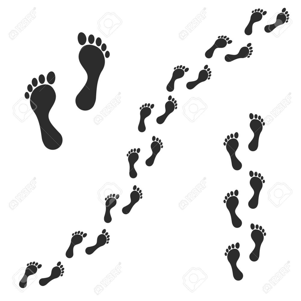 Следы вектор