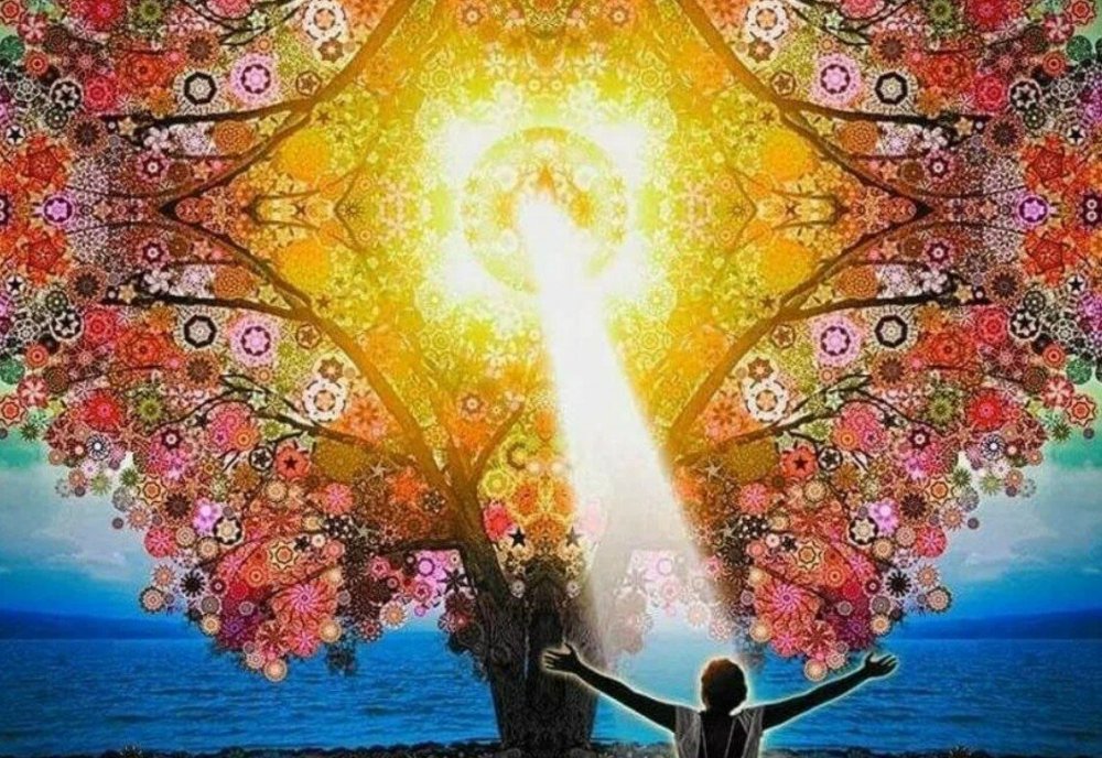 Девушка Вселенная