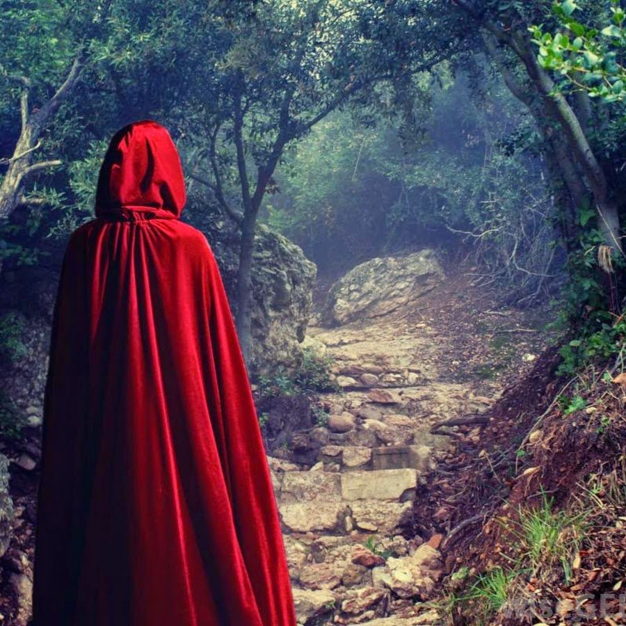 Студент в мантии со спины