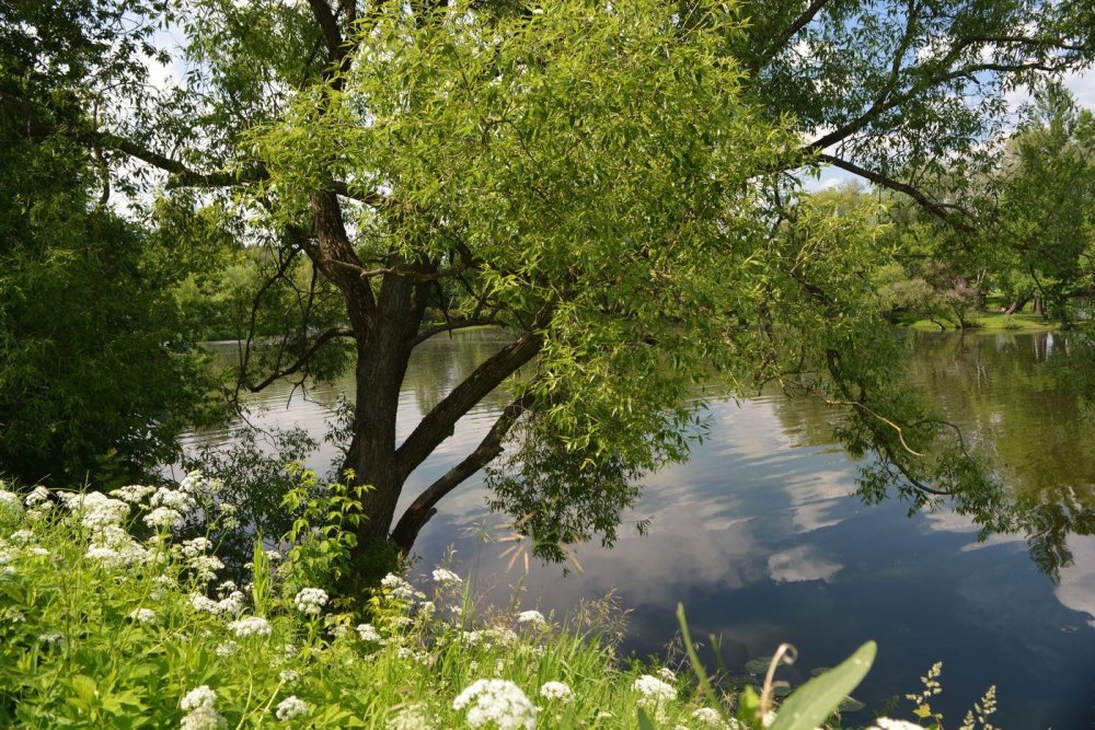 Река Ракита