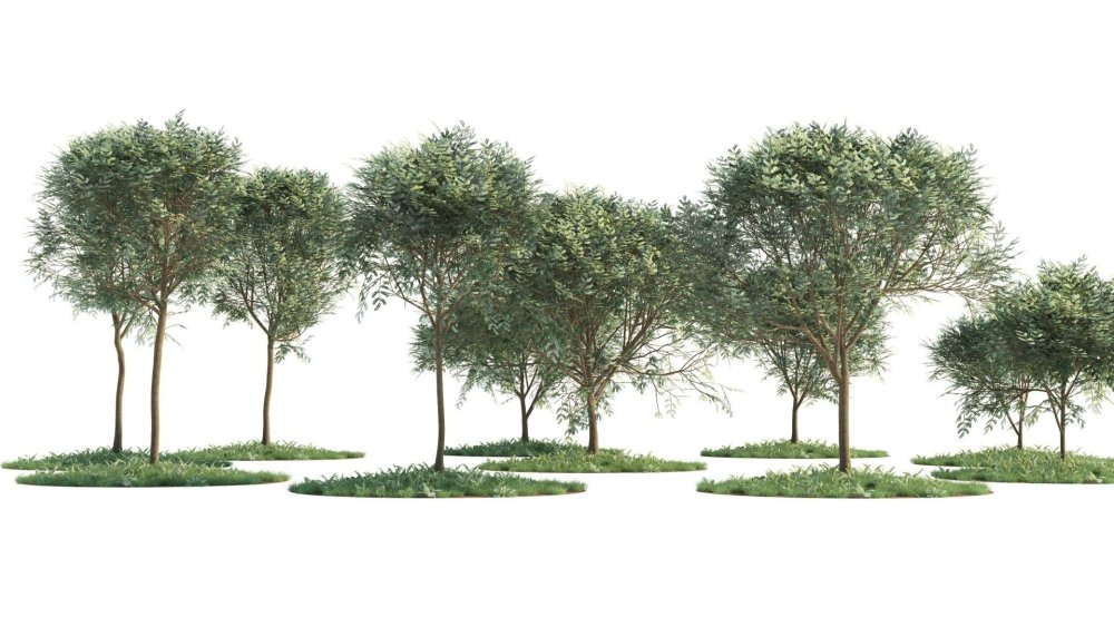 Антураж деревья архикад