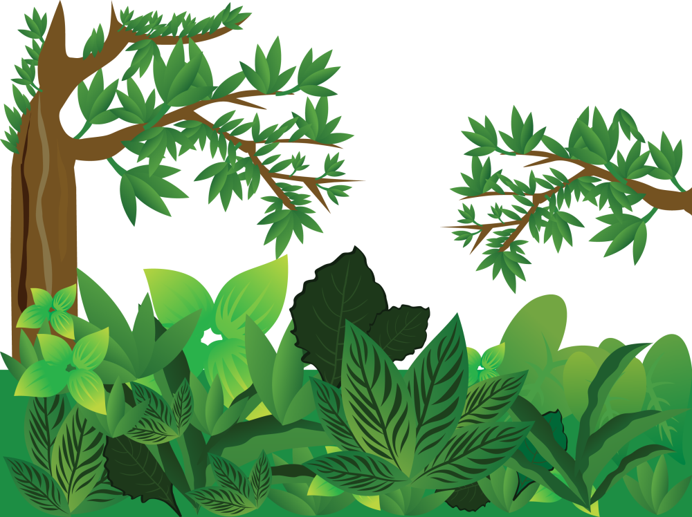 Кусты в векторной графике