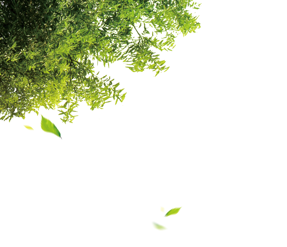 Листва без заднего фона