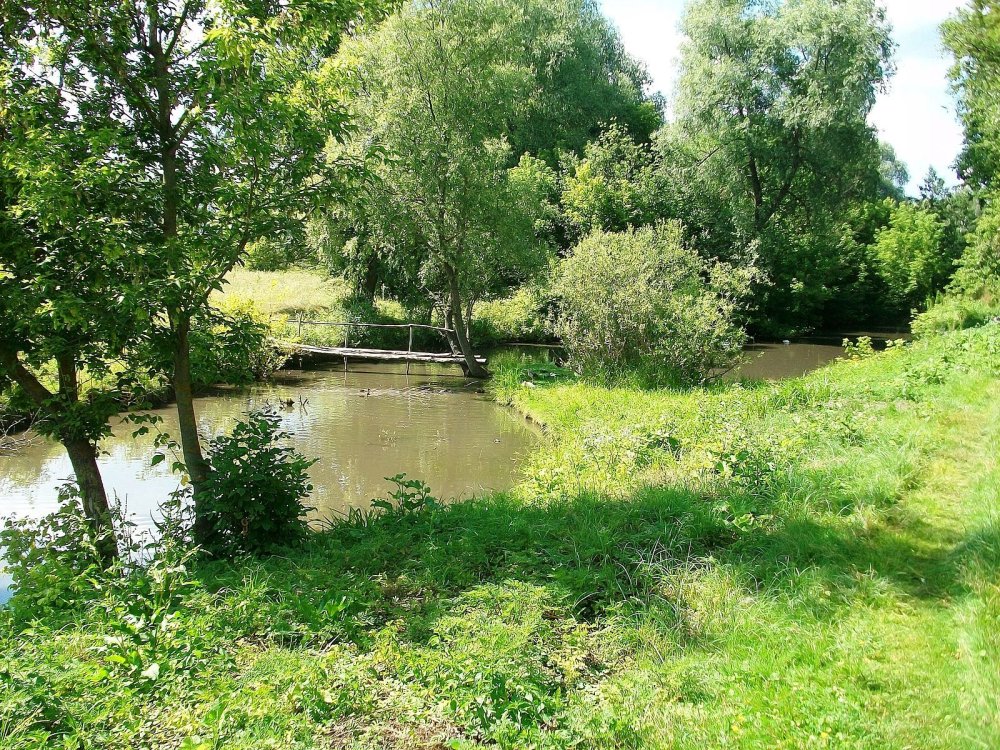 Село Полошки Глуховский район Сумская область