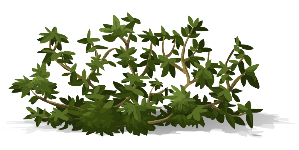 Кусты мультяшные