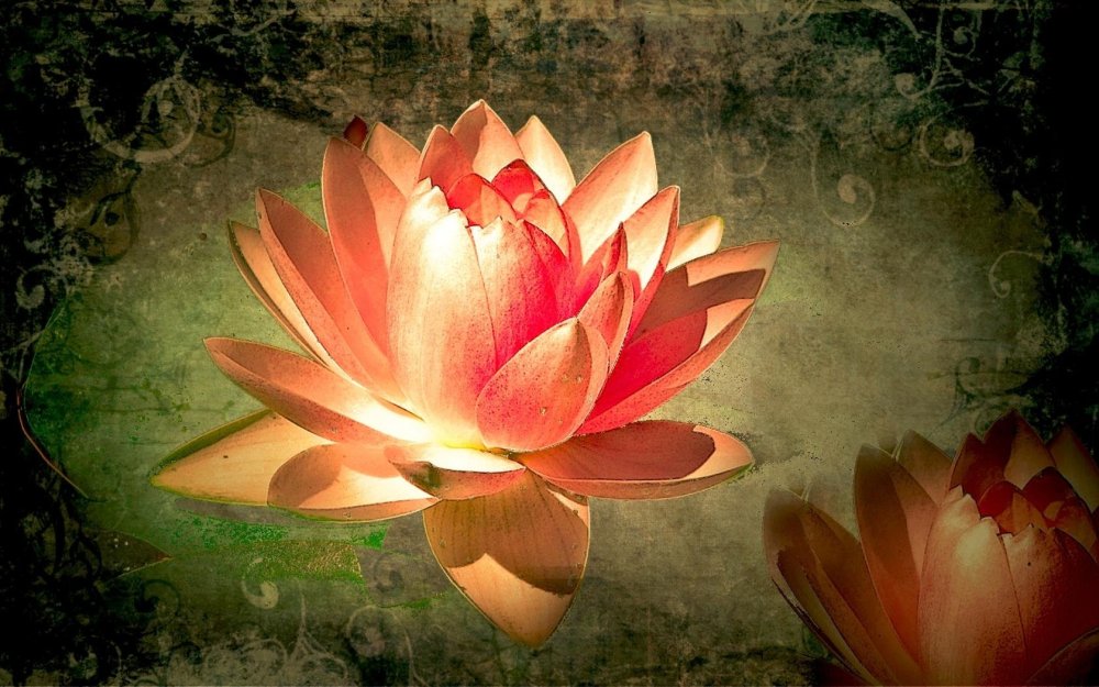 Волшебный Лотос