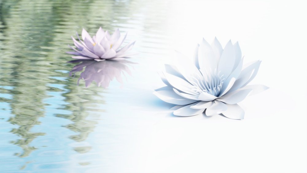 Итальянская художница Сильвия Кордедда