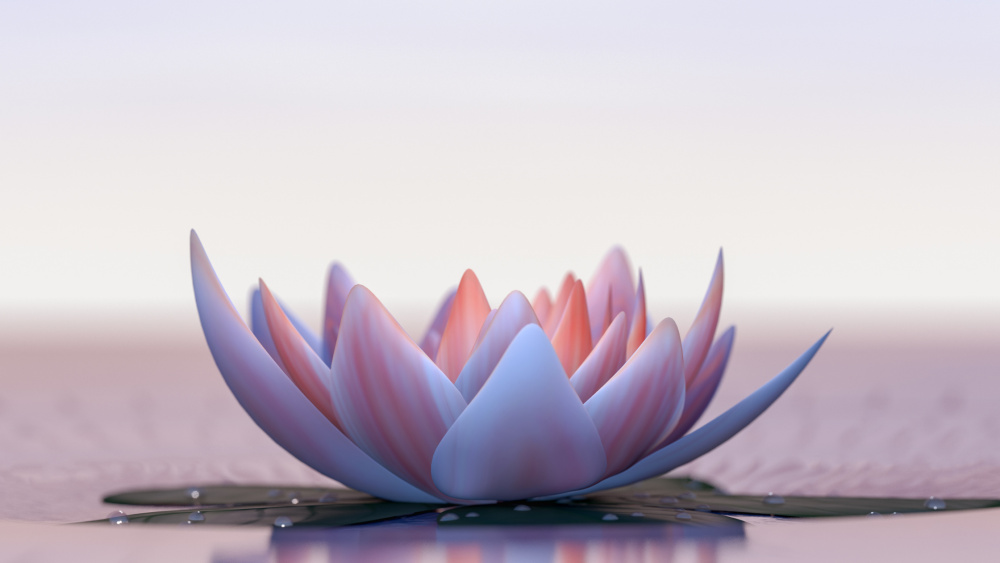 Лотос и солнце