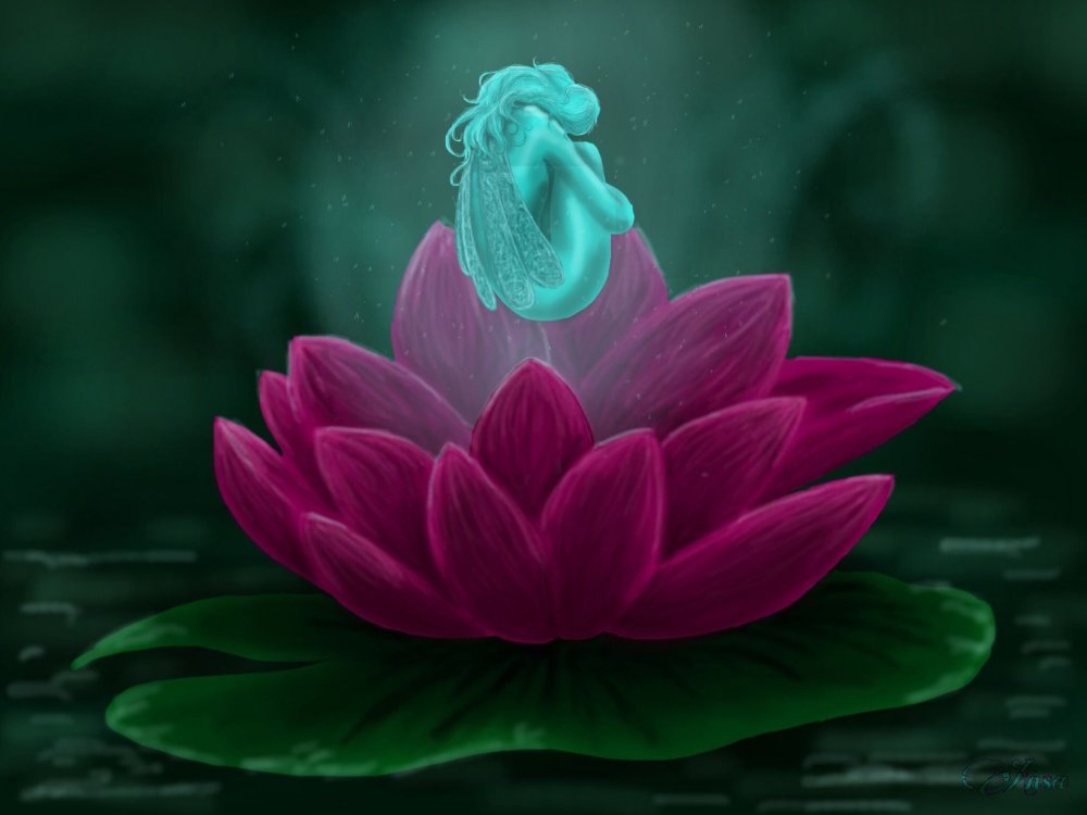 Сказочный Лотос