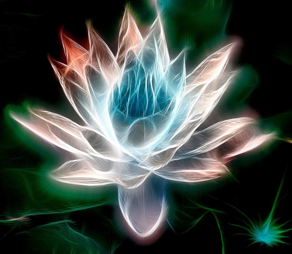 Водяная Лилия (кувшинка) символизм