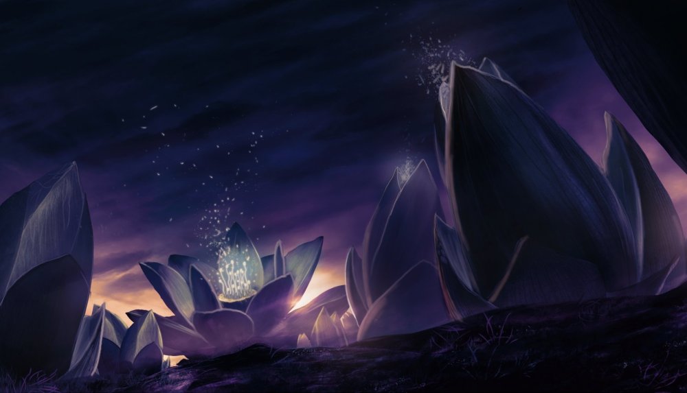 Лотос на фоне неба