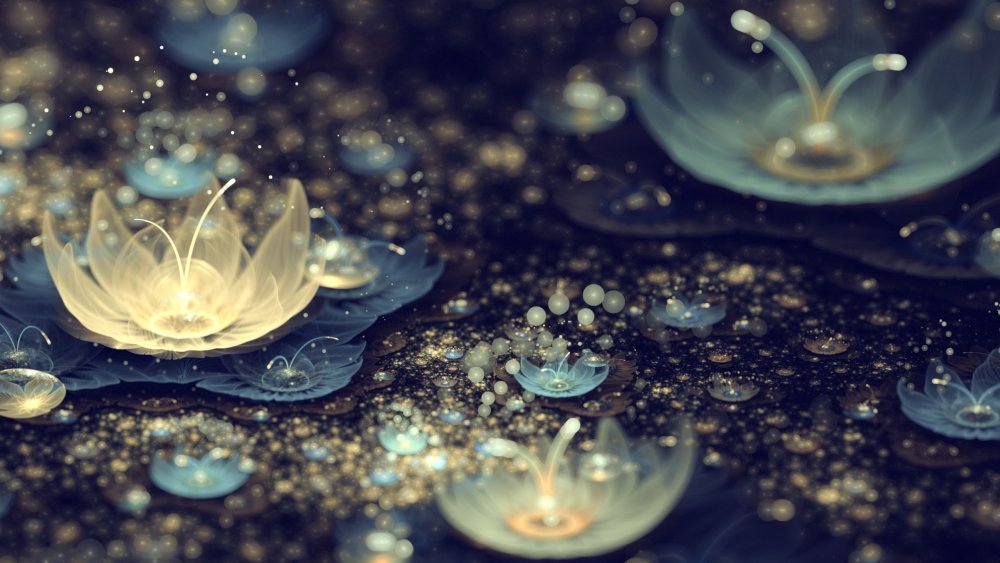 Лотос на белом фоне