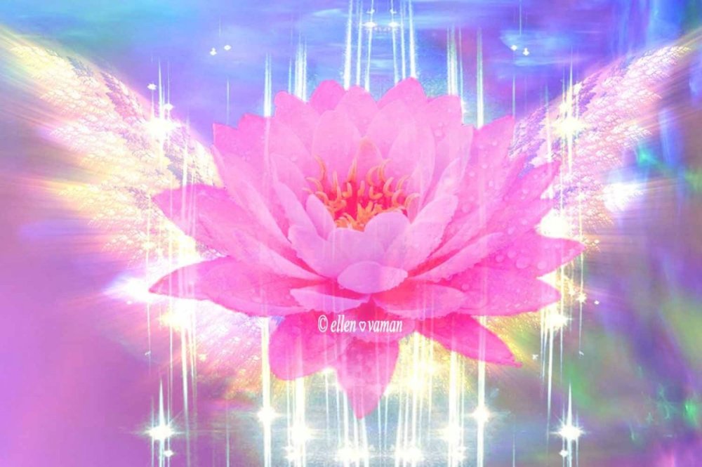 Лотос просветление