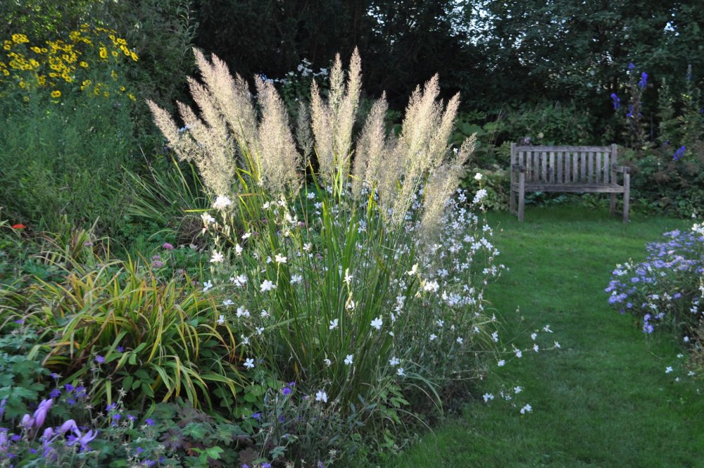 Альберт Вейник