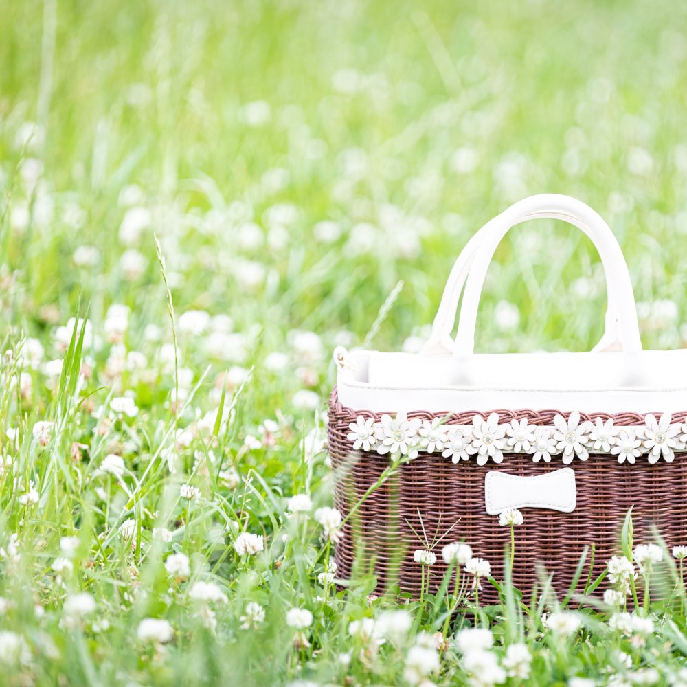 Корзинка с грибами