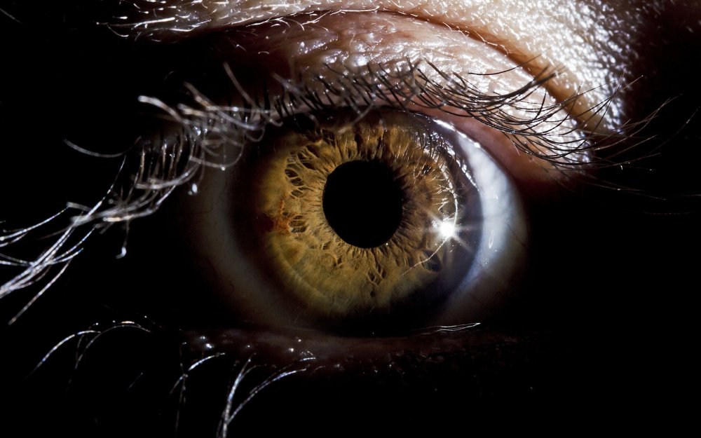 Глаз человека