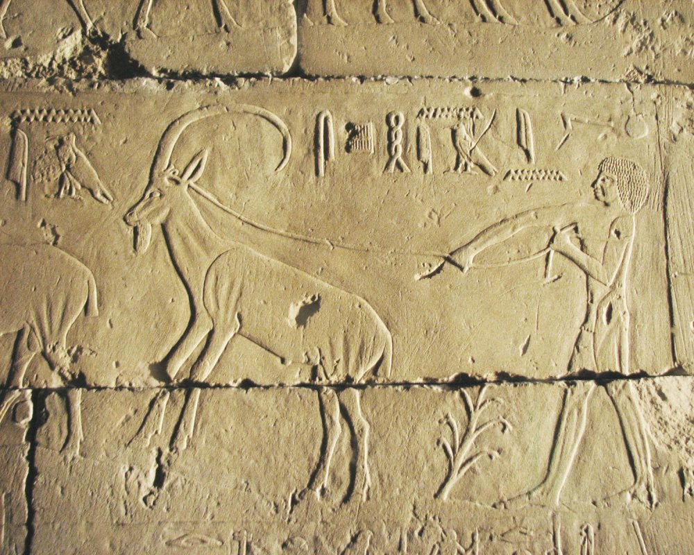 Маат богиня Египта