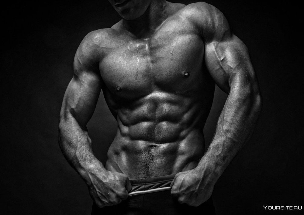 Мужской торс