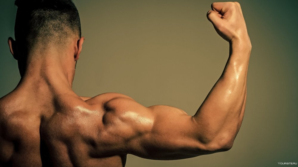 Накаченная спина мужская
