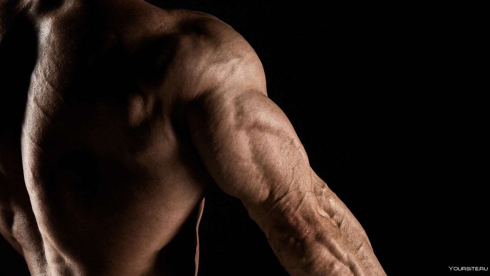 Красивые мужские руки