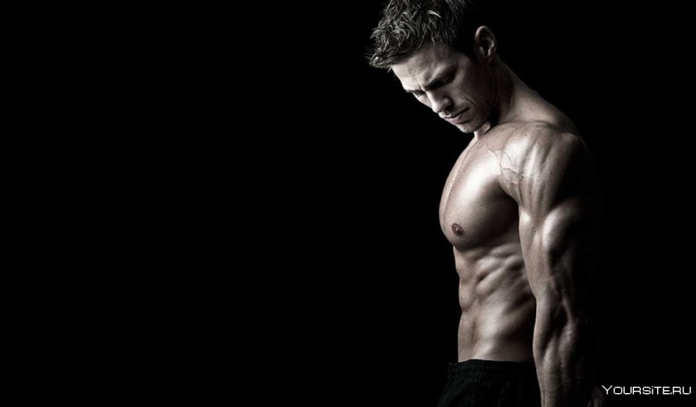 Дмитрий Ратомский торс