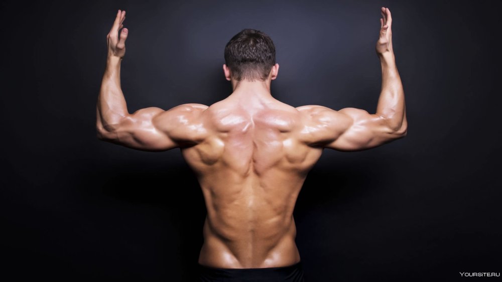 Мужчина с голым торсом