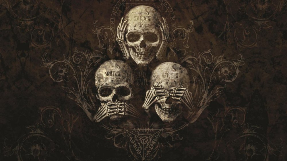 Череп с бородой в очках