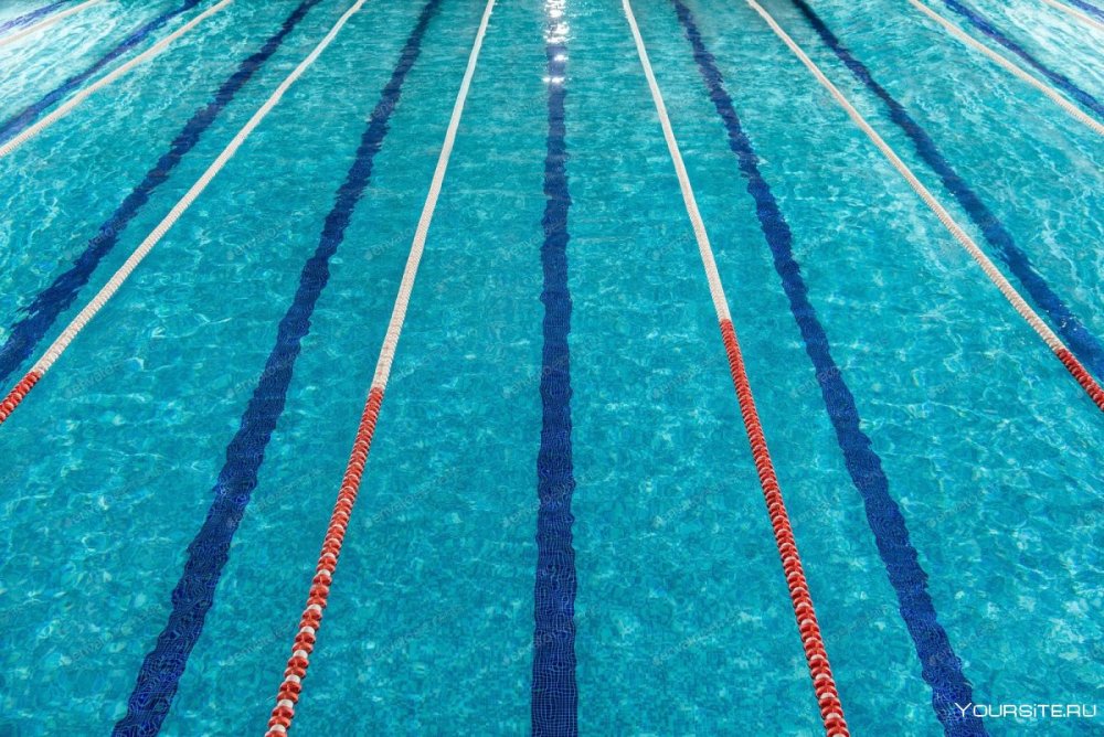 Спортивный бассейн