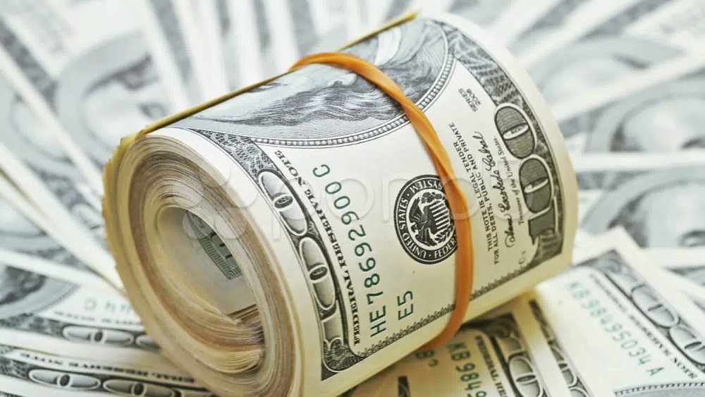 Сумка Луи Виттон с деньгами