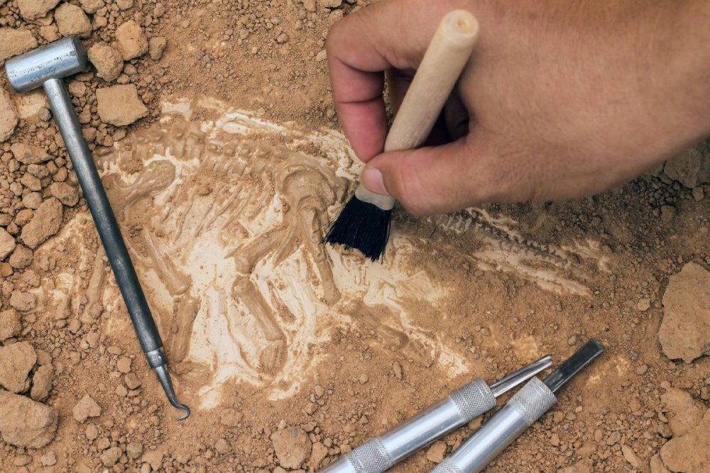 Инструменты для раскопок