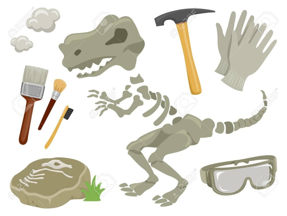 Палеонтология инструменты