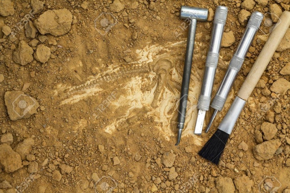 Инструменты для раскопок