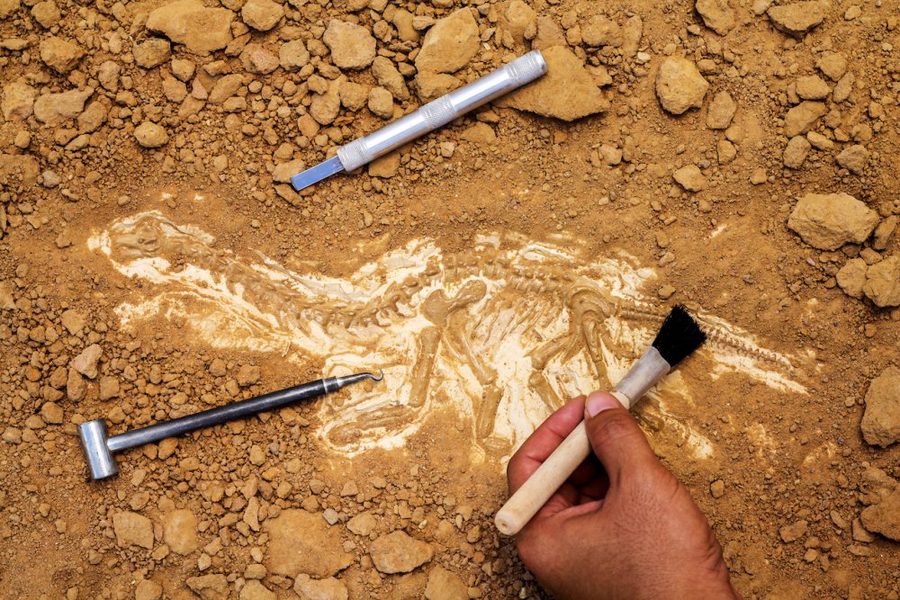 Инструменты для раскопок археологических