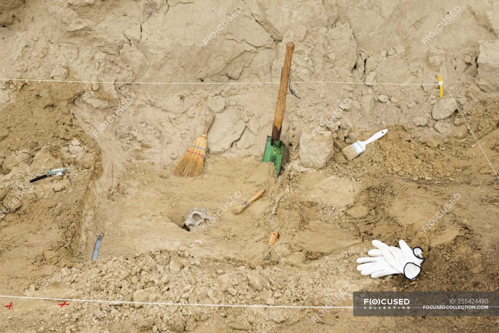 Место раскопок археолога