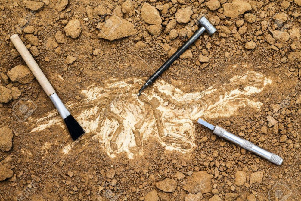 Археолог вектор