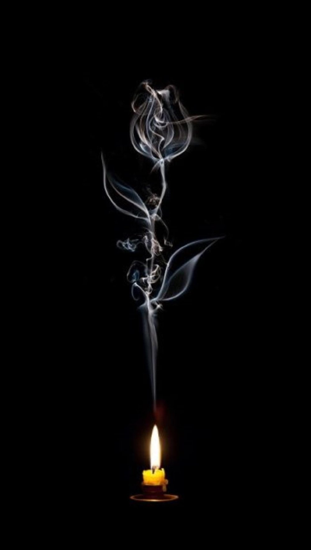 Горящая роза